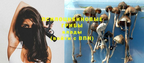круглые Лабытнанги