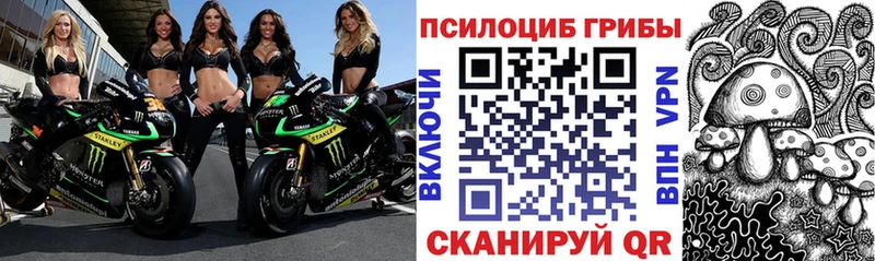 Галлюциногенные грибы прущие грибы  Купить  Крымск
